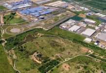 Porsche переходить на розведення бджіл та виробництво меду