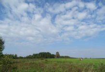 Блог ім. Madrider777 → нікола-лінивець для тих, хто лінується з’їздити