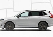 Найпопулярніші автомобілі в Америці: Аналіз по штатам