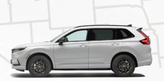 America’s Most Popular Vehicles: A State-by-State Breakdown