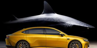 Smart’s nieuwe sedan streeft naar een haai-achtige aantrekkingskracht 🦈