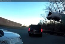 Семья из Арканзаса оказалась под угрозой оружием из-за ошибки камеры ALPR