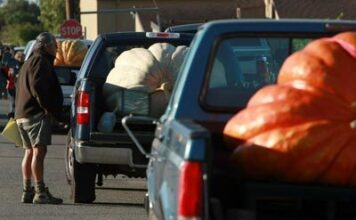 How to safely calculate a vehicle’s load capacity