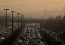 Як вихлопні гази автомобіля пошкоджують ваші легені та серце