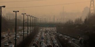 How Car Exhaust Damages Your Lungs and Heart